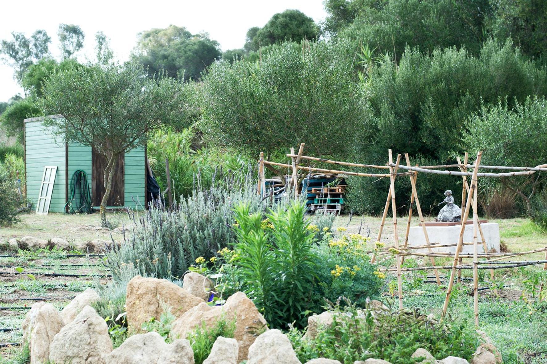 Ruralcamomo Villa Cádiz Exterior foto